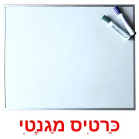 כַּרטִיס מַגנֶטִי Bildkarteikarten