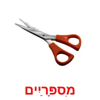 מִספָּרַיִים Bildkarteikarten