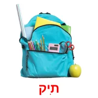 תִיק Bildkarteikarten