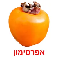 אפרסימון Bildkarteikarten