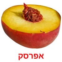 אפרסק Bildkarteikarten