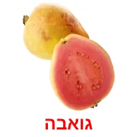 גואבה Bildkarteikarten