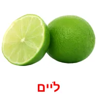 ליים Bildkarteikarten