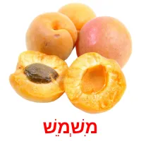 מִשְׁמֵשׁ Bildkarteikarten