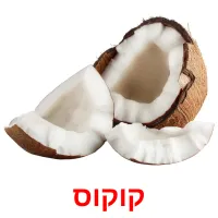 קוקוס Bildkarteikarten