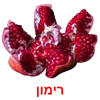 רימון Bildkarteikarten