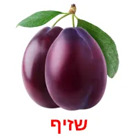 שזיף Bildkarteikarten