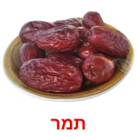 תמר Bildkarteikarten