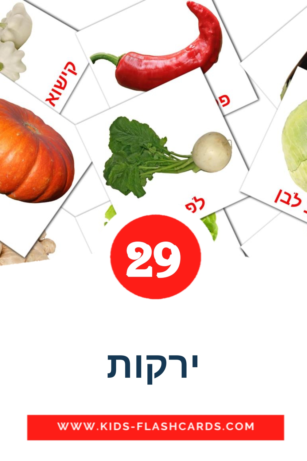ירקות на иврит для Детского Сада (29 карточек)
