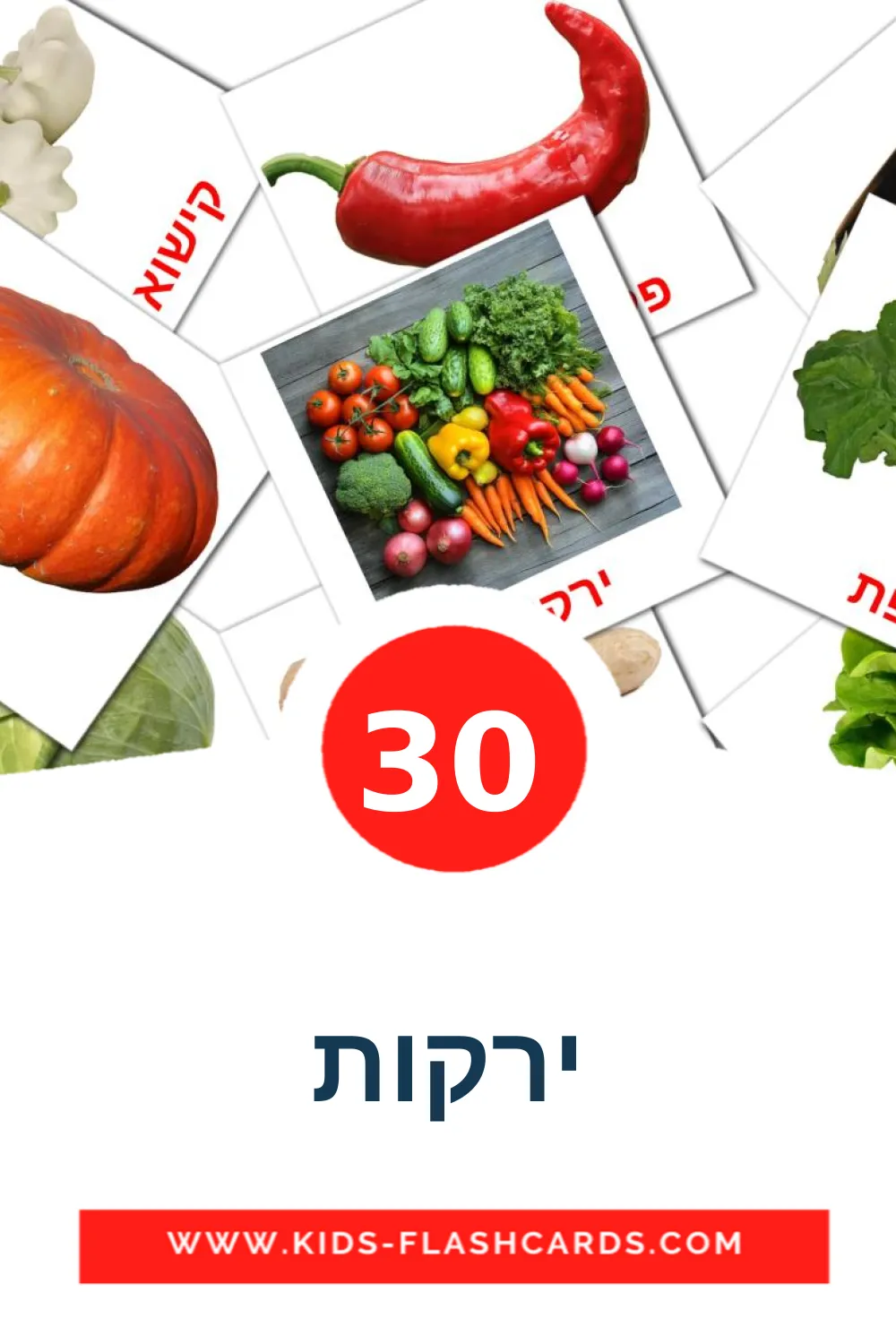 30 ירקות fotokaarten voor kleuters in het hebreeuws