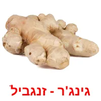 גינג'ר - זנגביל ansichtkaarten