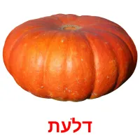 דלעת ansichtkaarten