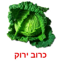 כרוב ירוק ansichtkaarten