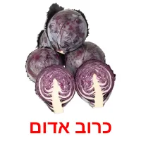 כרוב אדום ansichtkaarten