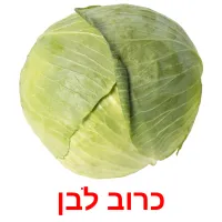 כרוב לבן ansichtkaarten