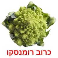 כרוב רומנסקו ansichtkaarten