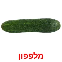 מלפפון ansichtkaarten