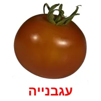 עגבנייה ansichtkaarten