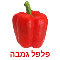 פלפל גמבה ansichtkaarten