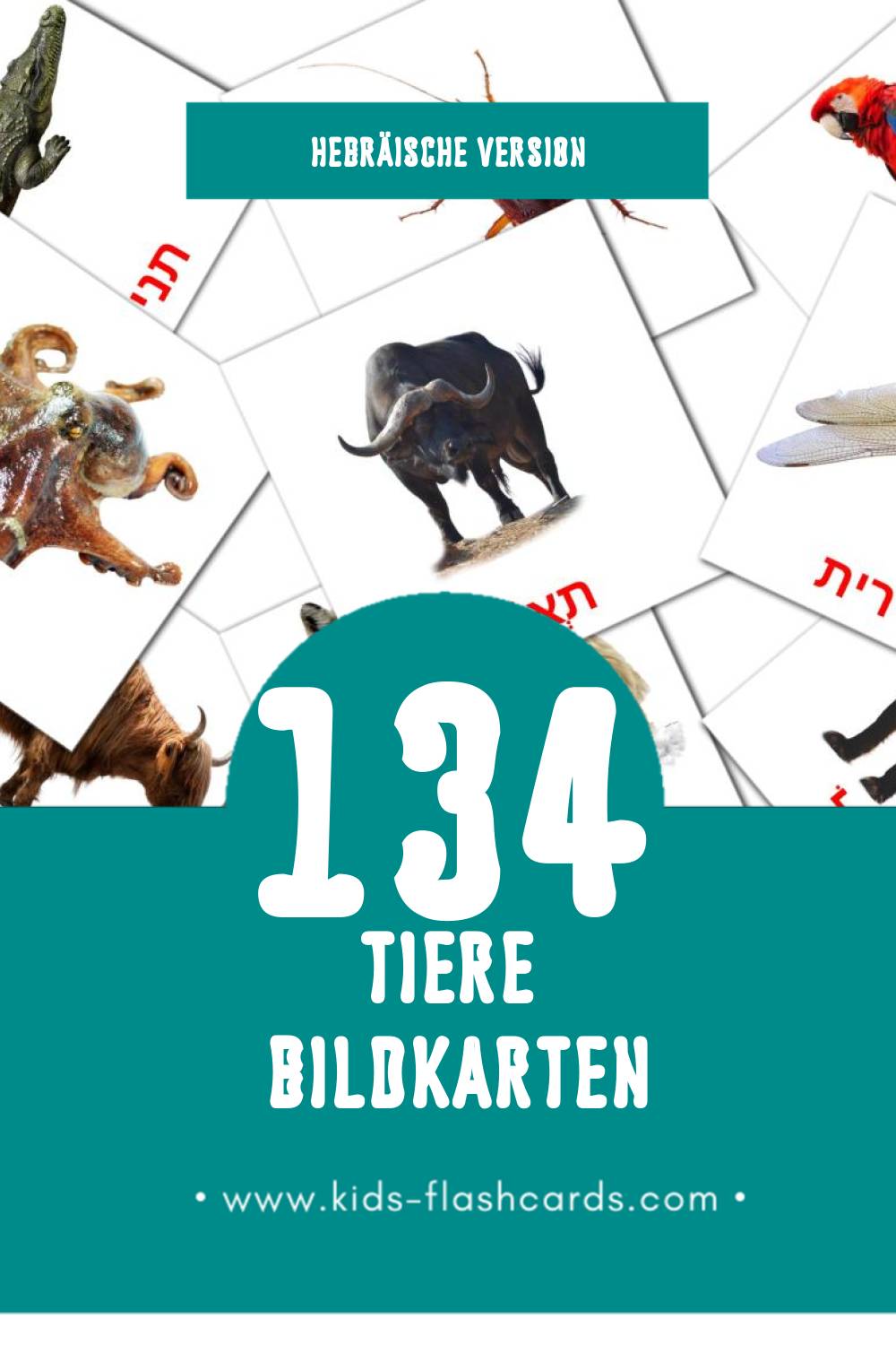 Visual חיות Flashcards für Kleinkinder (134 Karten in Hebräisch)