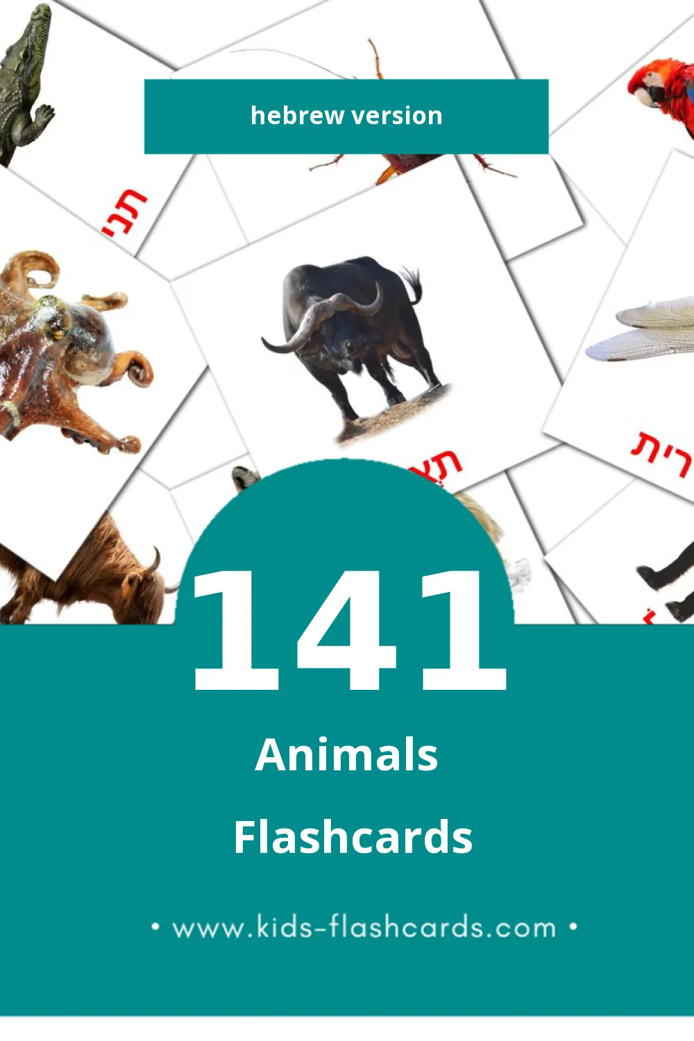 Visual חיות Flashcards for Toddlers (141 cards in Hebrew)