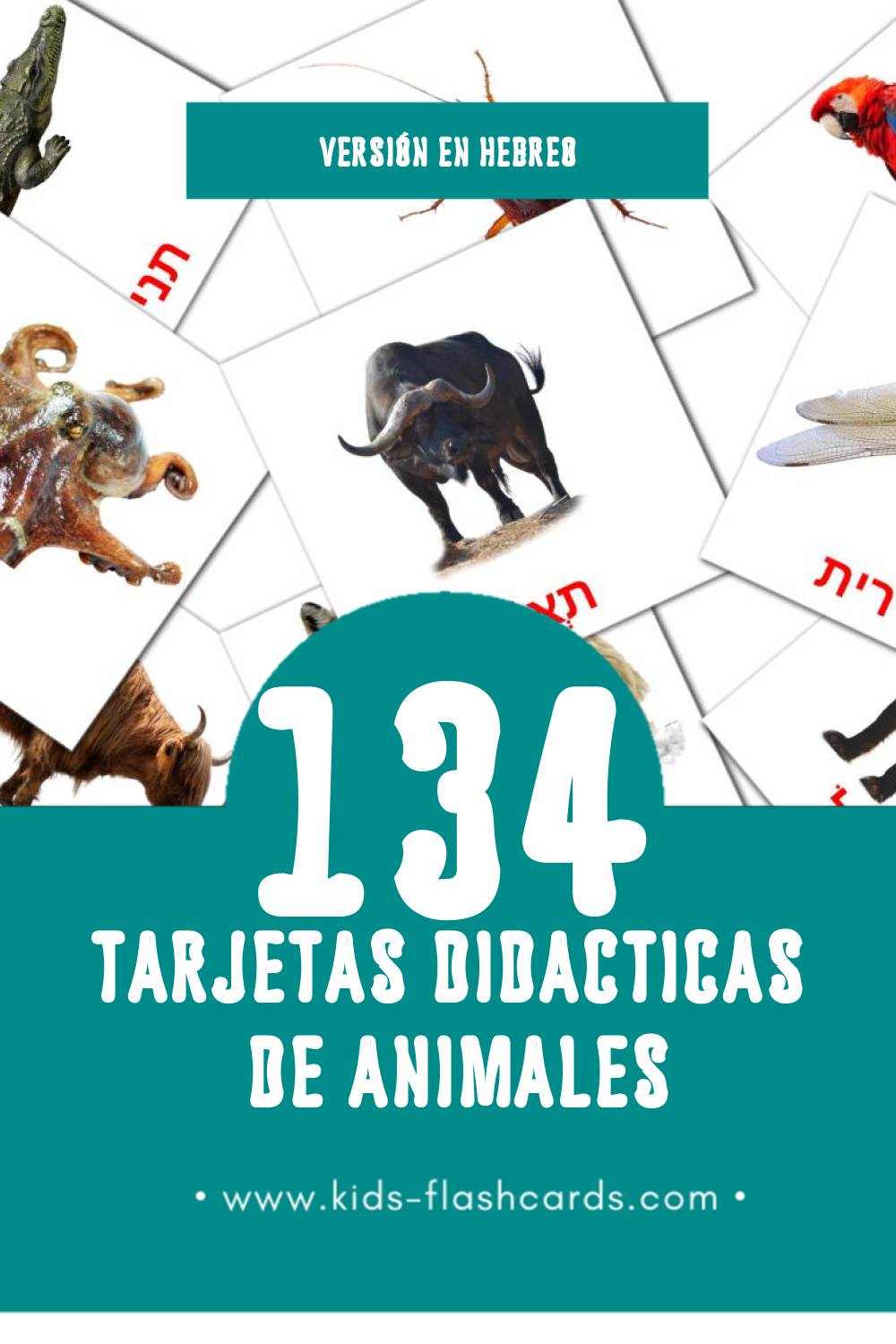 Tarjetas visuales de חיות para niños pequeños (134 tarjetas en Hebreo)