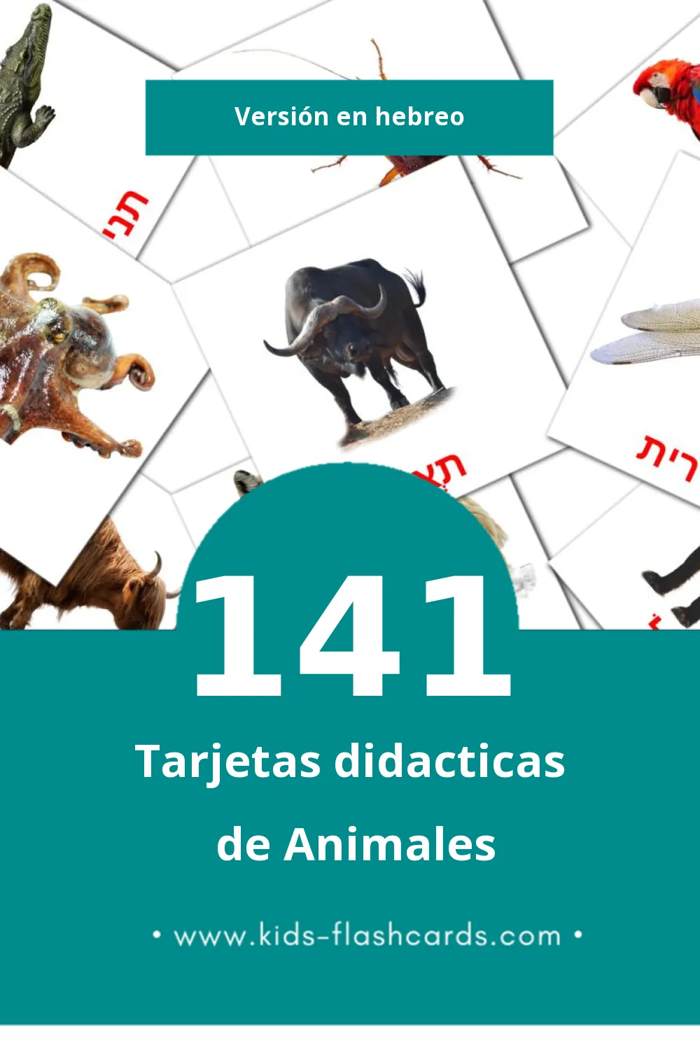 Tarjetas visuales de חיות para niños pequeños (141 tarjetas en Hebreo)