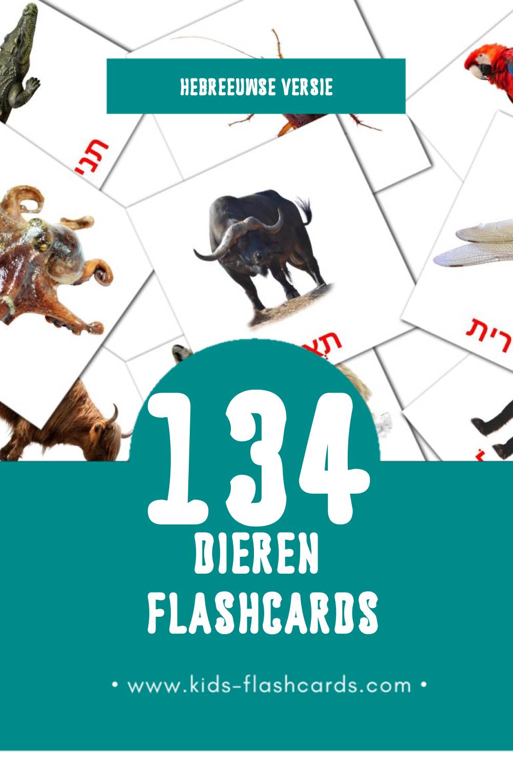 Visuele חיות Flashcards voor Kleuters (134 kaarten in het Hebreeuws)