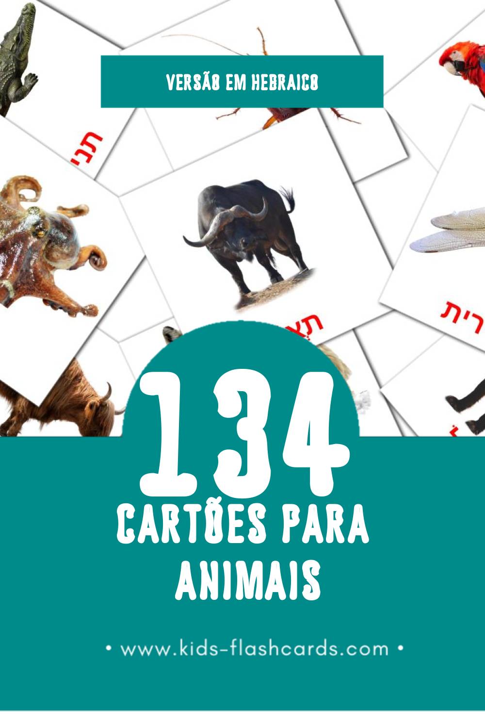 Flashcards de חיות Visuais para Toddlers (134 cartões em Hebraico)