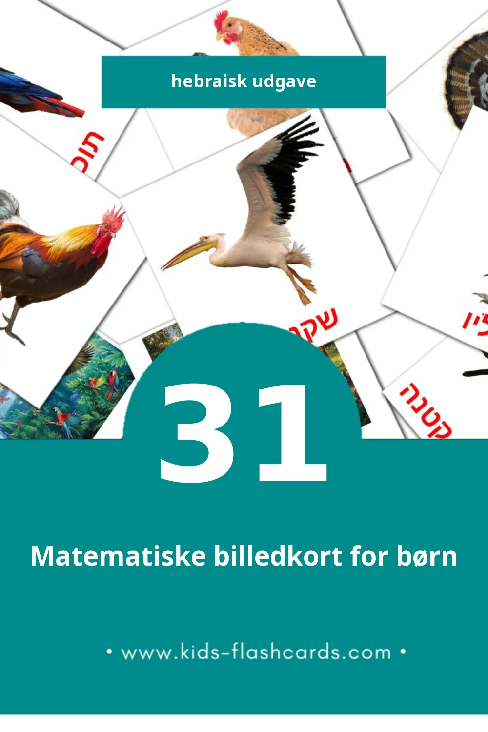Visuelle billedkort for børn om ציפורים til småbørn (31 kort på Hebraisk)
