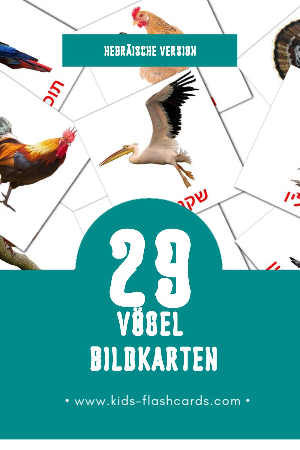 Visual ציפורים Flashcards für Kleinkinder (29 Karten in Hebräisch)