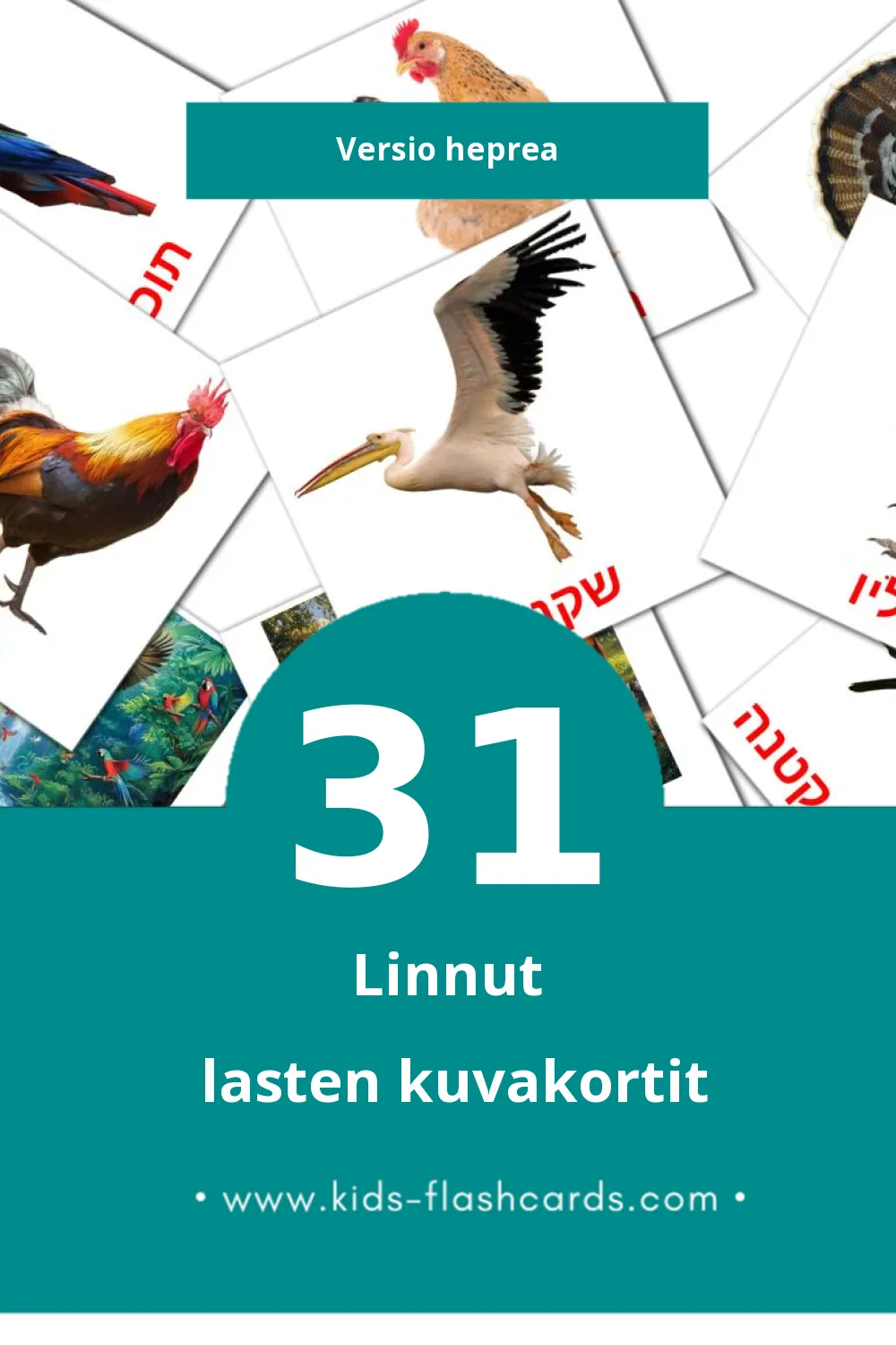 ציפורים lasten kuvakortit pikkulapsille (31 korttia Hepreaksi)