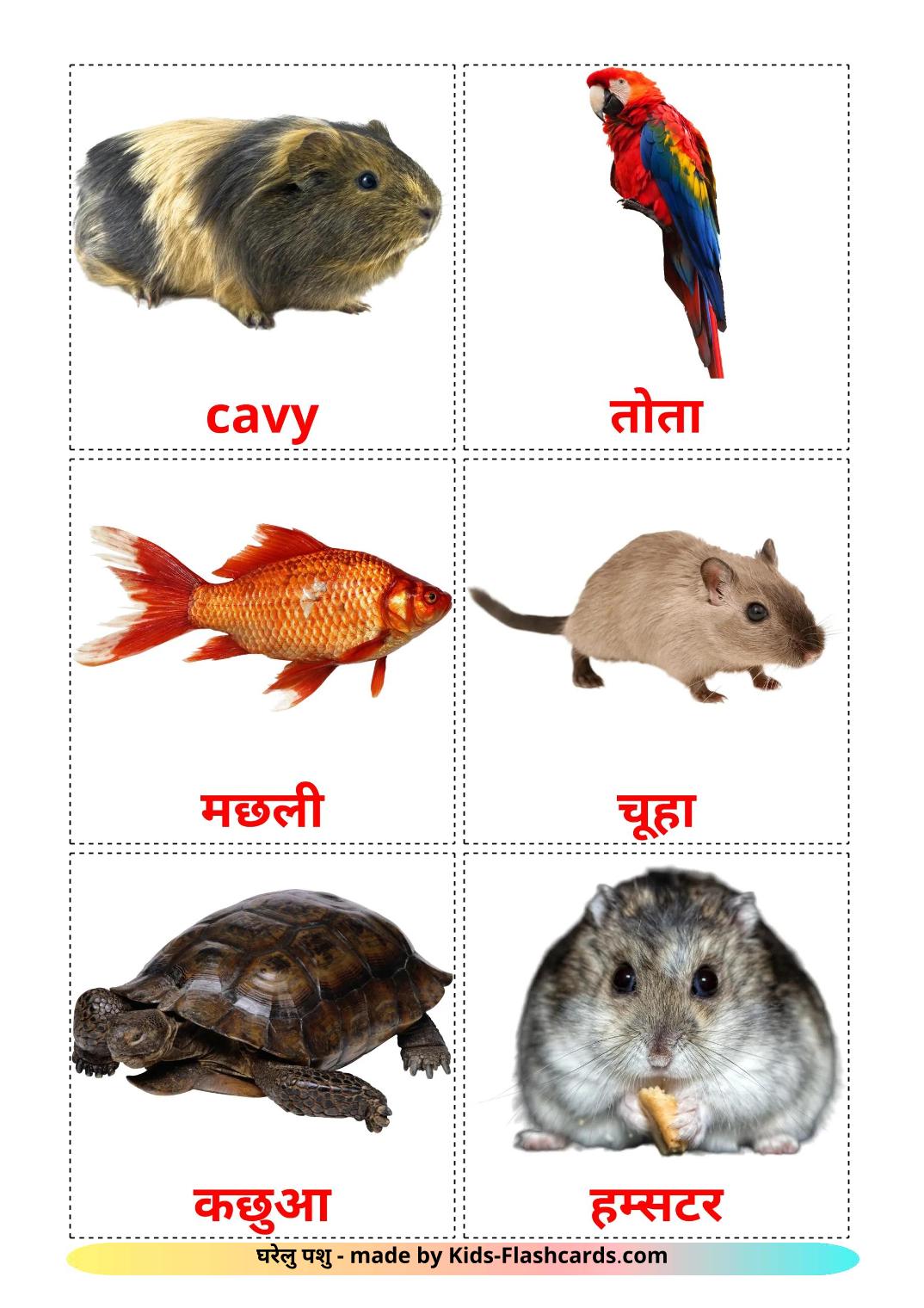 Domestic animals - 11 Free Printable devanagari Flashcards 