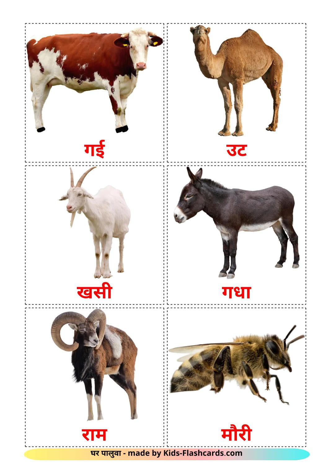 Farm animals - 16 Free Printable devanagari Flashcards 