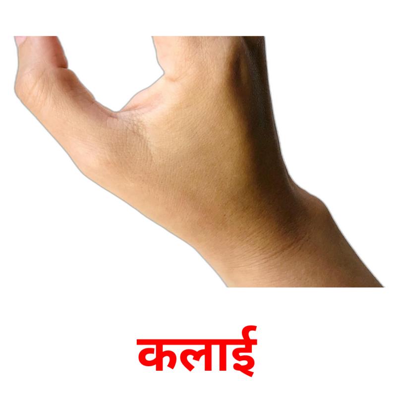 कलाई picture flashcards