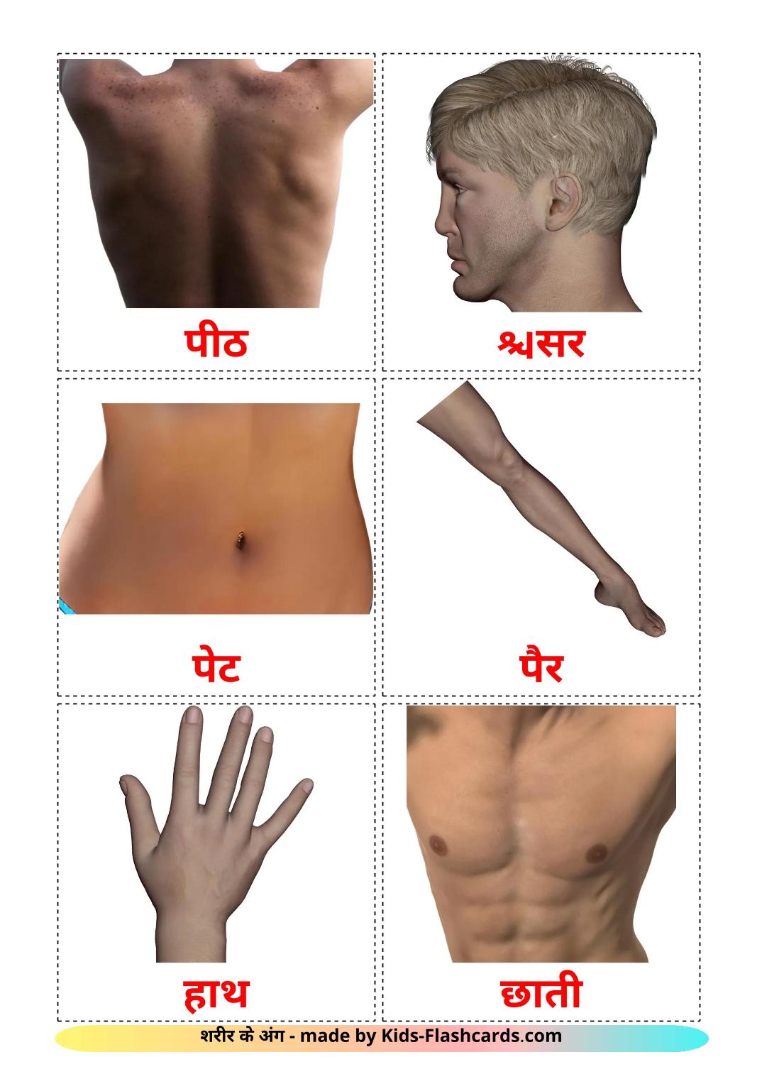 Body Parts - 26 Free Printable devanagari Flashcards 