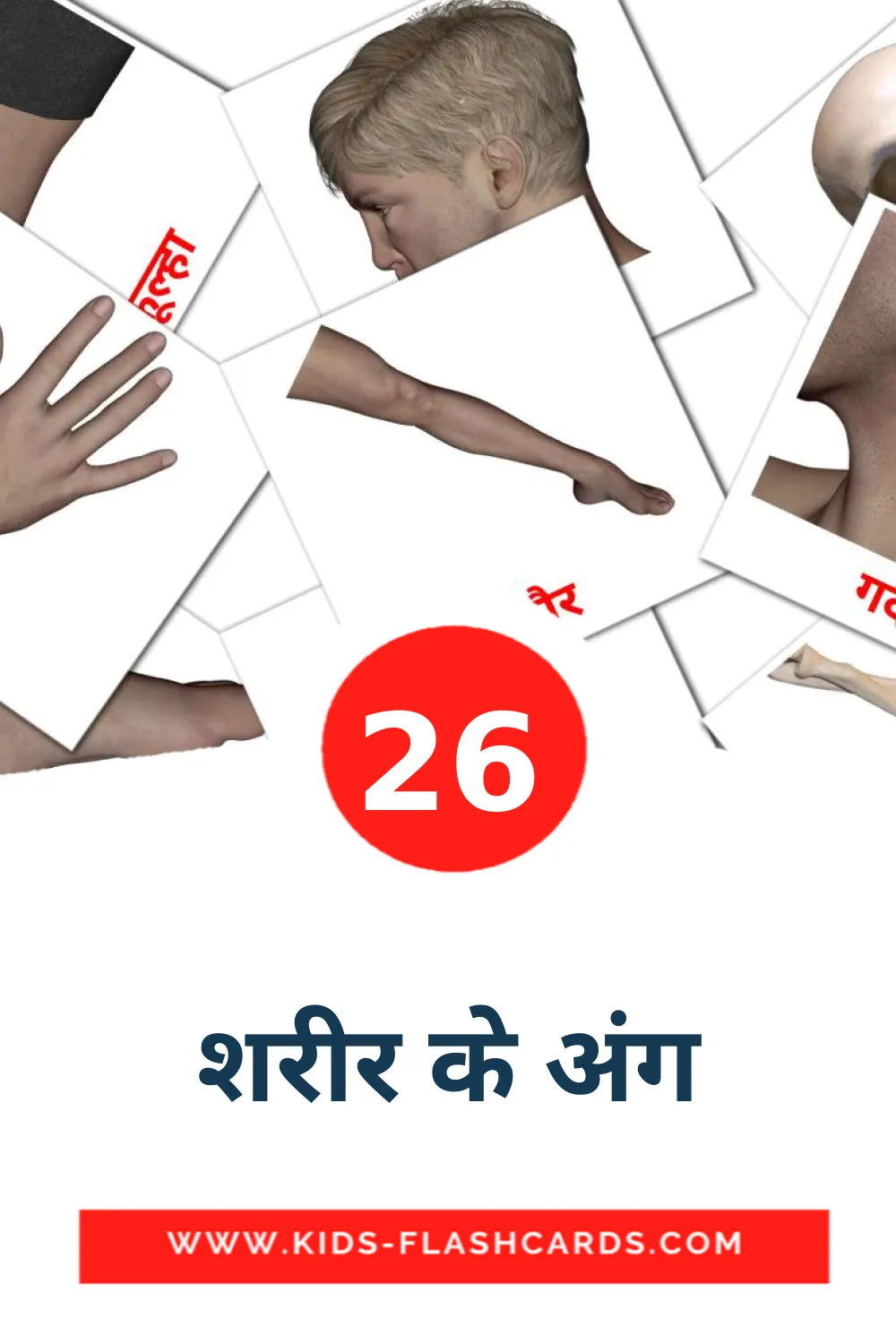 26 शरीर के अंग Picture Cards for Kindergarden in devanagari