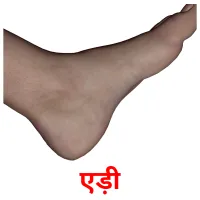 एड़ी picture flashcards