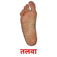 तलवा picture flashcards