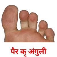 पैर की अंगुली picture flashcards