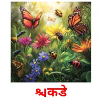 किडे picture flashcards