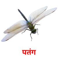 पतंग picture flashcards