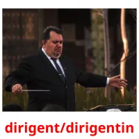 dirigent/dirigentin Tarjetas didacticas