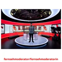 fernsehmoderator/fernsehmoderatorin Tarjetas didacticas