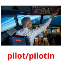 pilot/pilotin Tarjetas didacticas