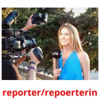 reporter/repoerterin Tarjetas didacticas