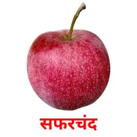 सफरचंद picture flashcards