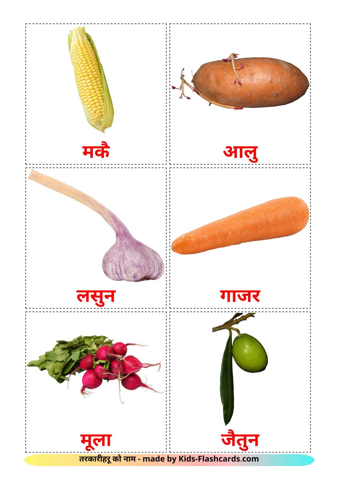Vegetables - 29 Free Printable devanagari Flashcards 