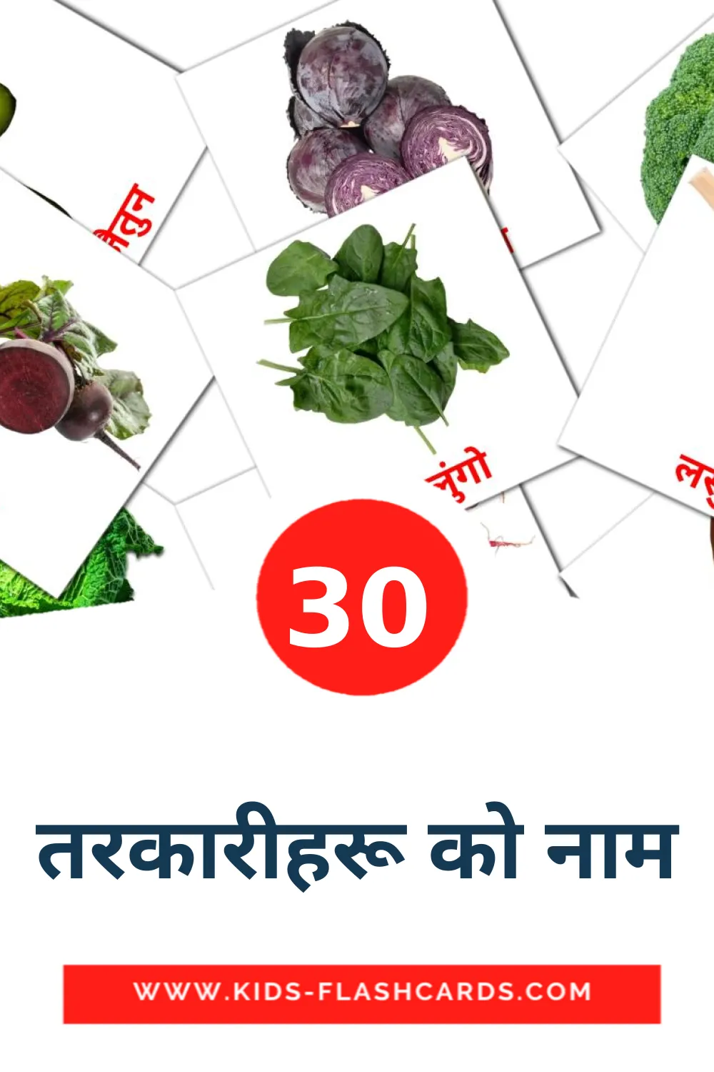 30 तरकारीहरू को नाम Picture Cards for Kindergarden in devanagari