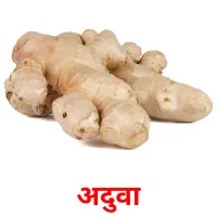 अदुवा picture flashcards